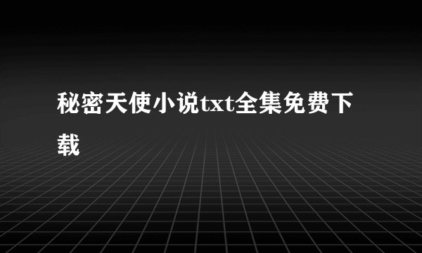 秘密天使小说txt全集免费下载