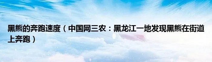 黑熊的奔跑速度（中国网三农：黑龙江一地发现黑熊在街道上奔跑）
