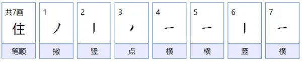 住的笔顺是？组词有？