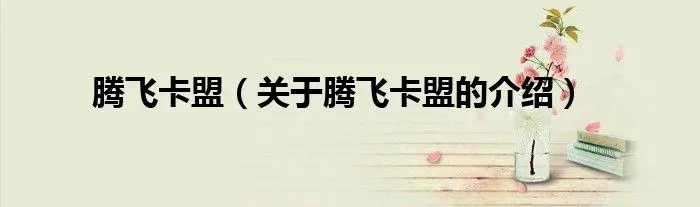 腾飞卡盟（关于腾飞卡盟的介绍）