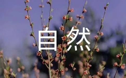 自然现象的谚语