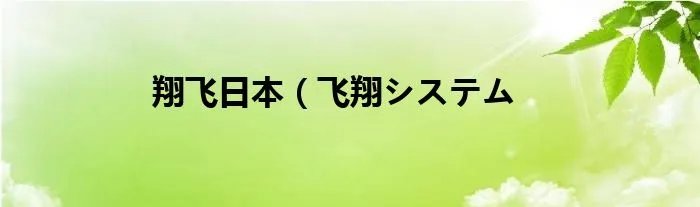 翔飞日本（飞翔システム