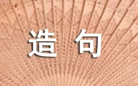 千奇百怪造句