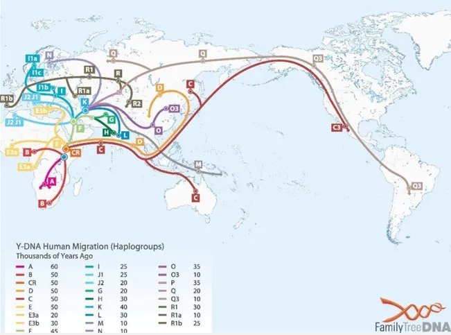 研究发现:人一共有56种性别!怎么判断自己是哪一种?自测一下