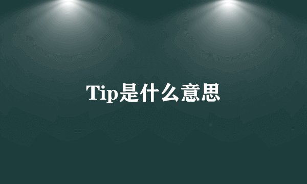 Tip是什么意思