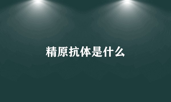 精原抗体是什么
