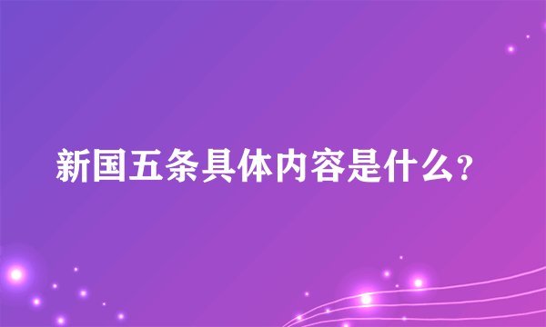 新国五条具体内容是什么?
