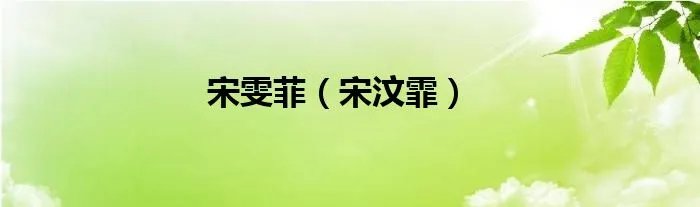 宋雯菲（宋汶霏）
