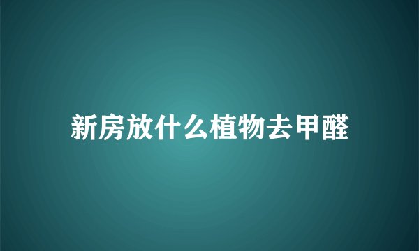 新房放什么植物去甲醛