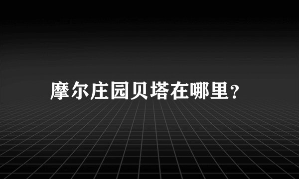 摩尔庄园贝塔在哪里？