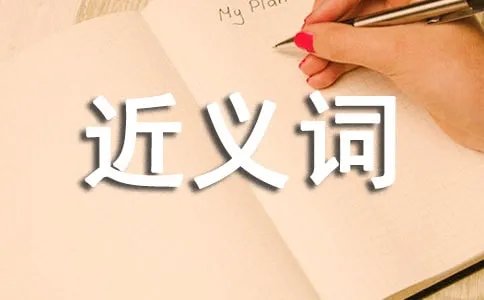 精致的近义词是什么？