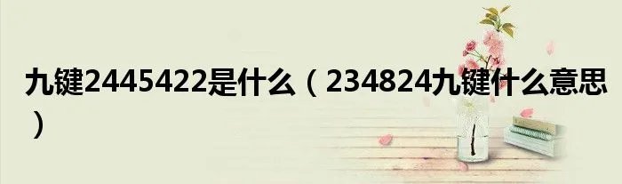 九键2445422是什么(234824九键什么意思)