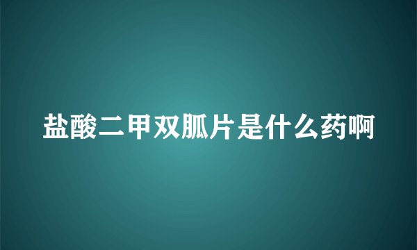 盐酸二甲双胍片是什么药啊