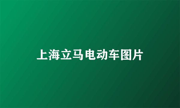 上海立马电动车图片