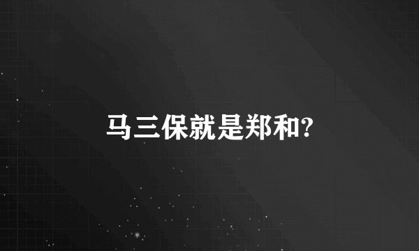 马三保就是郑和?