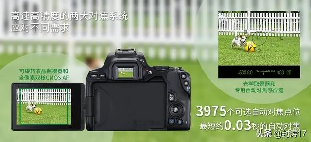 低端单反存在的意义是什么?