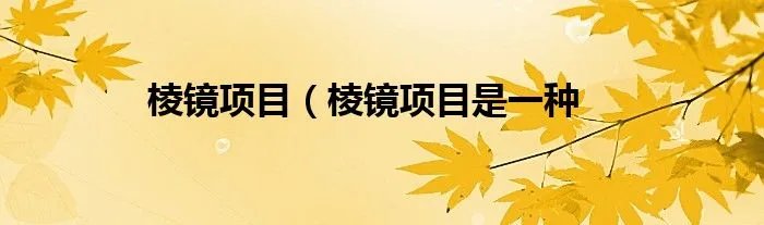 棱镜项目（棱镜项目是一种