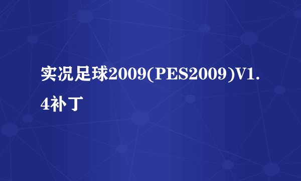 实况足球2009(PES2009)V1.4补丁