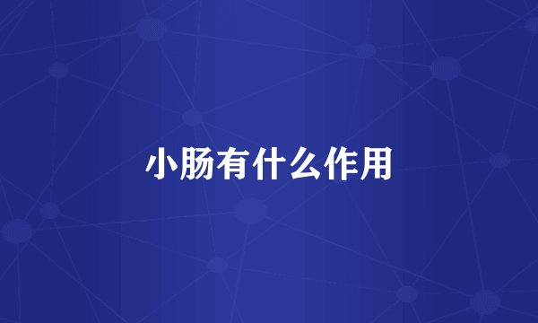 小肠有什么作用