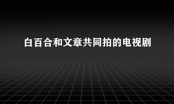 白百合和文章共同拍的电视剧