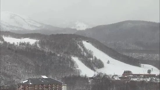 日本滑雪场雪崩有人员伤亡吗？