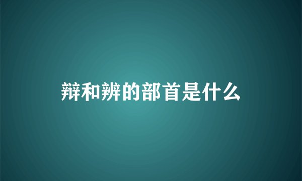 辩和辨的部首是什么