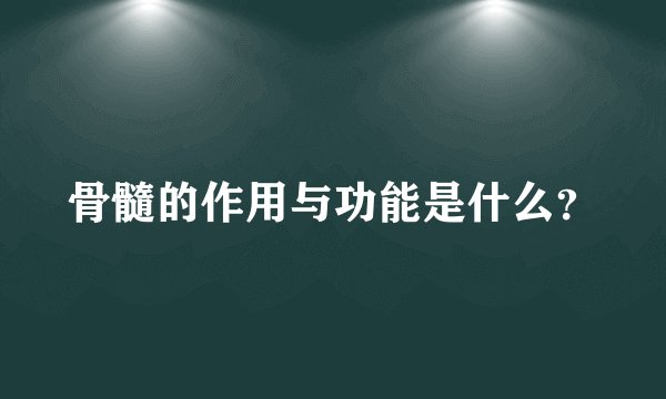 骨髓的作用与功能是什么？