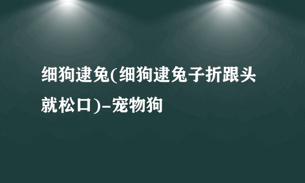 细狗逮兔(细狗逮兔子折跟头就松口)-宠物狗