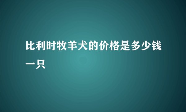 比利时牧羊犬的价格是多少钱一只