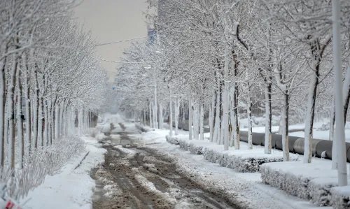 暴雪蓝色预警继续，涉及河北内蒙古等多地，这波暴雪天气会带来哪些影响？
