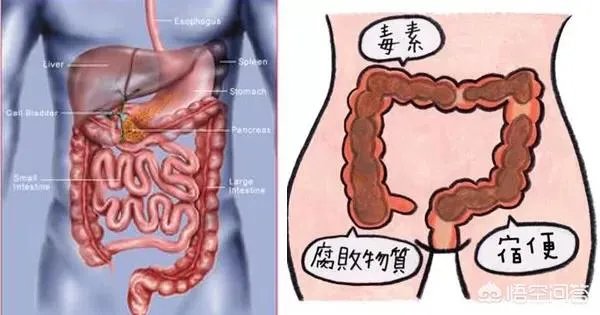 身体出现哪些症状,就说明你该排毒了呢?