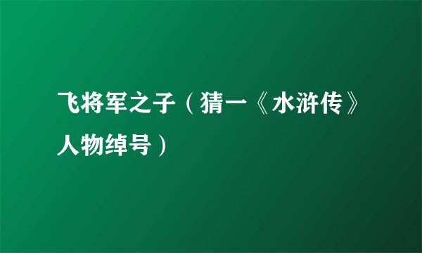 飞将军之子（猜一《水浒传》人物绰号）