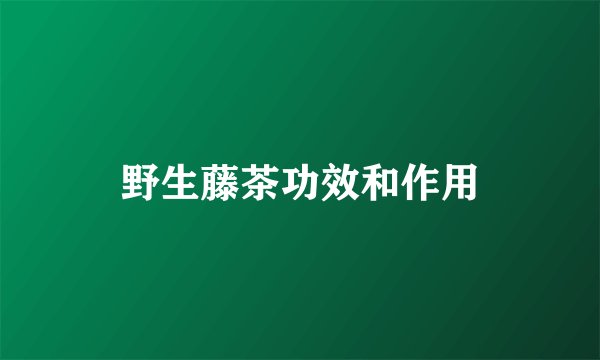野生藤茶功效和作用