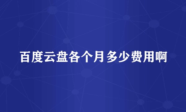 百度云盘各个月多少费用啊