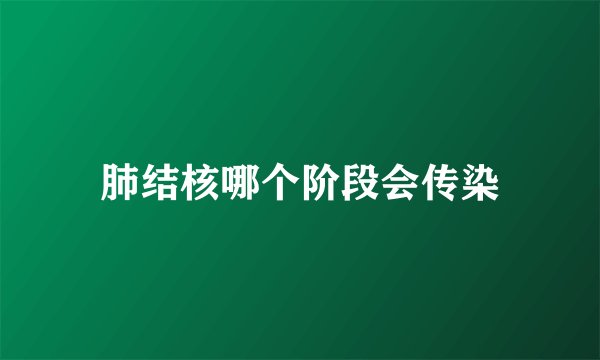 肺结核哪个阶段会传染