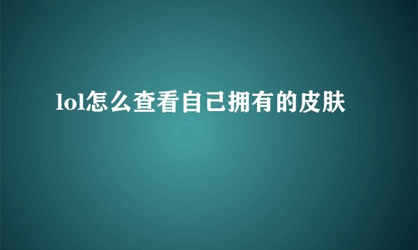 lol怎么查看自己拥有的皮肤