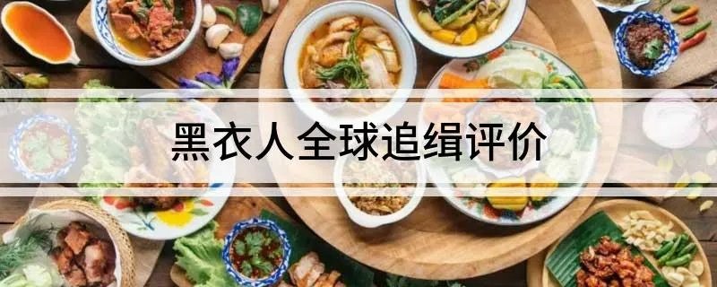 黑衣人全球追缉评价