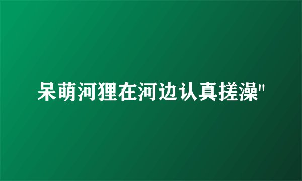 呆萌河狸在河边认真搓澡