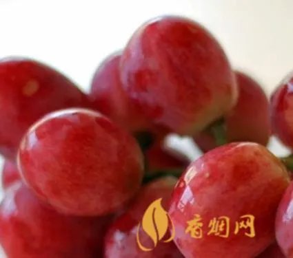 美国红提子葡萄洒多少钱