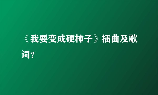 《我要变成硬柿子》插曲及歌词?