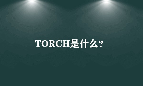 TORCH是什么？
