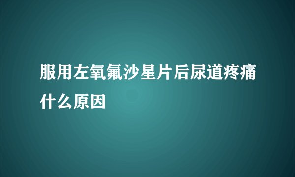 服用左氧氟沙星片后尿道疼痛什么原因