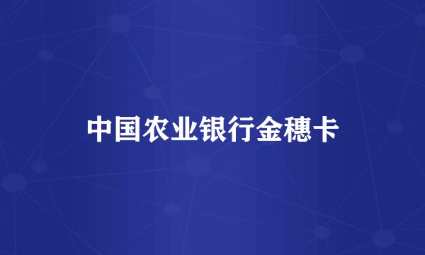 中国农业银行金穗卡