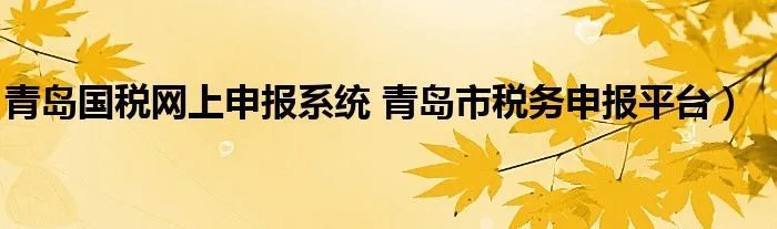青岛国税网上申报系统 青岛市税务申报平台）