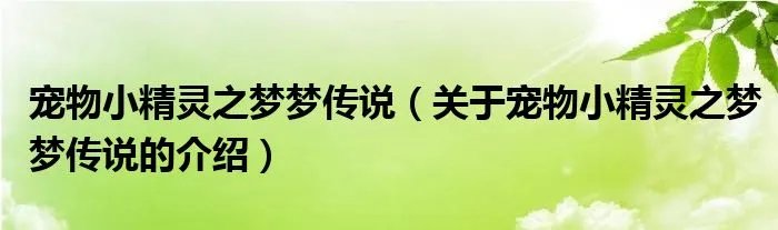 宠物小精灵之梦梦传说（关于宠物小精灵之梦梦传说的介绍）