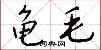 龟毛