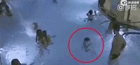 北京双胞胎溺亡 | 除了在海边，家中的”无声溺水“更要小心