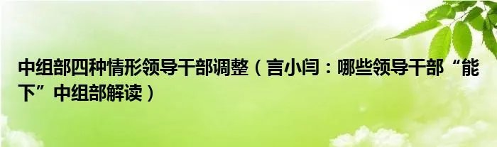 中组部四种情形领导干部调整（言小闫：哪些领导干部“能下”中组部解读）