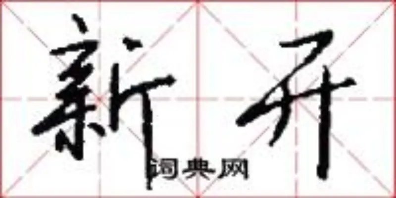 新开