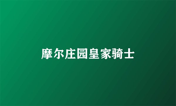 摩尔庄园皇家骑士
